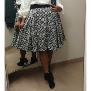 Full Skirt   Bird Print